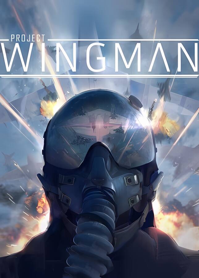 僚机计划/Project Wingman（已更新至V2.0.11+集成Build.12334196升级档+支持VR+游戏修改器）