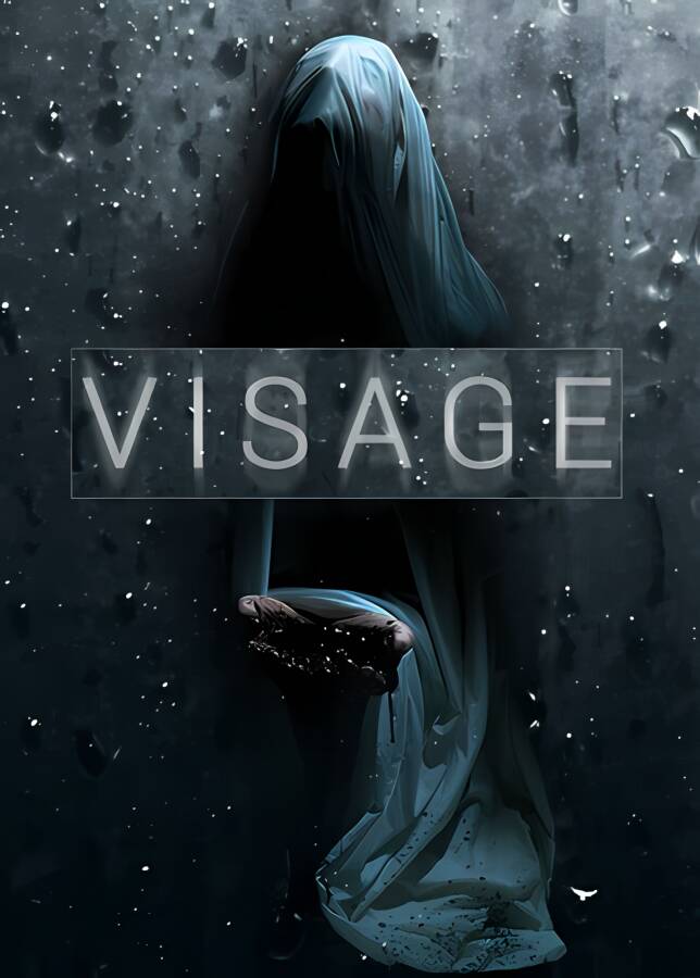 面容/Visage