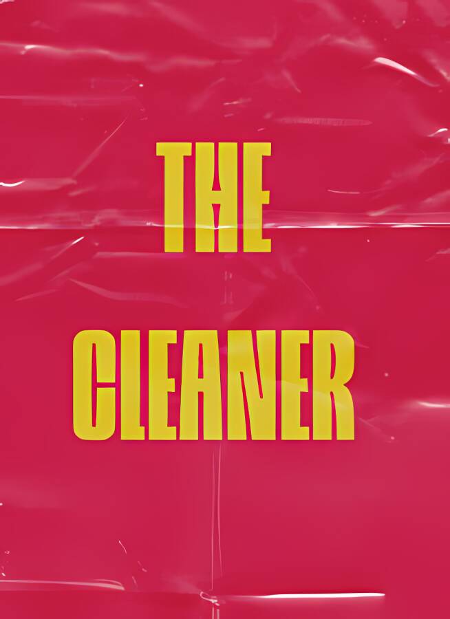 杀手/The Cleaner