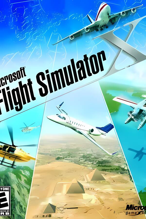 模拟飞行10/Microsoft Flight Simulator X