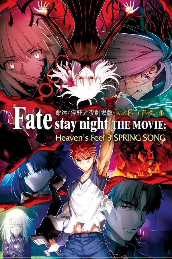 命运停驻之夜/命运守护夜/命运守护之夜/Fate stay night